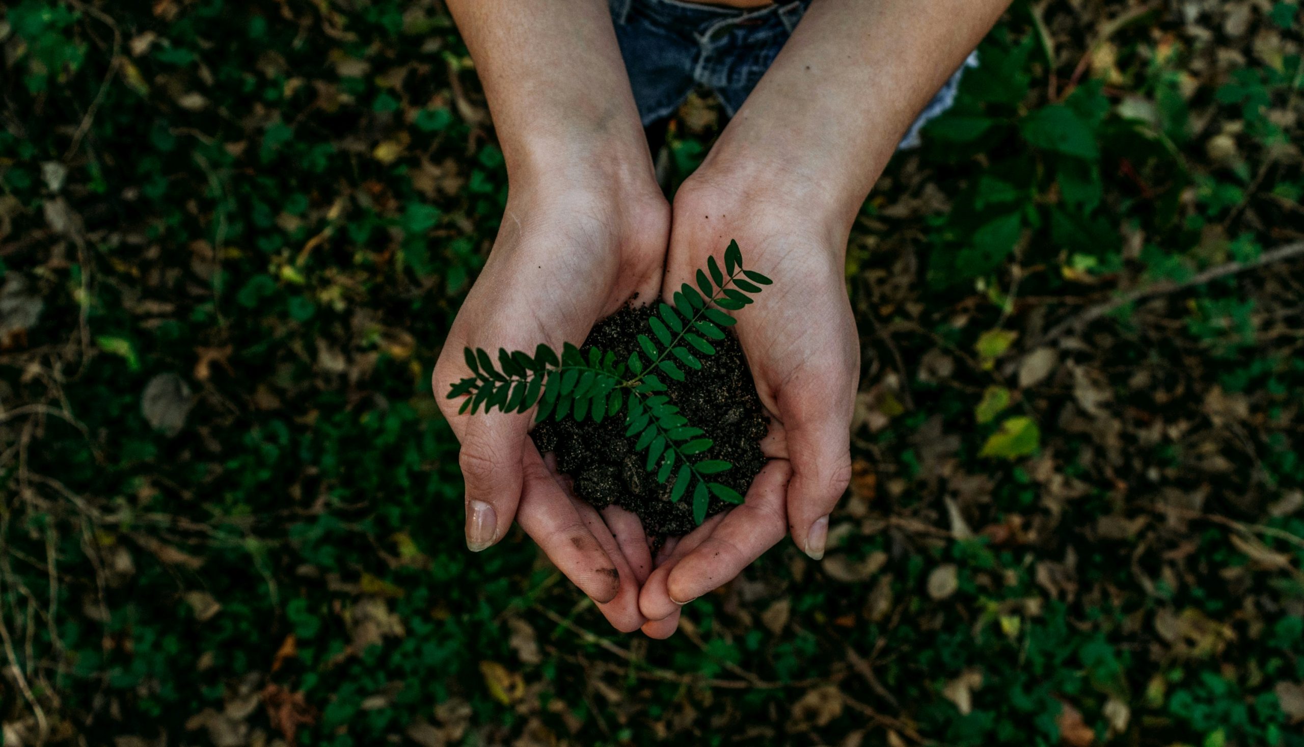 The Powerful Impact of Business Sustainability Today
