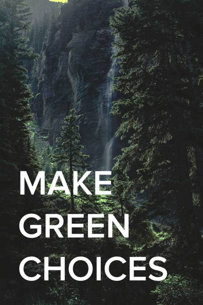 The Powerful Impact of Business Sustainability Today