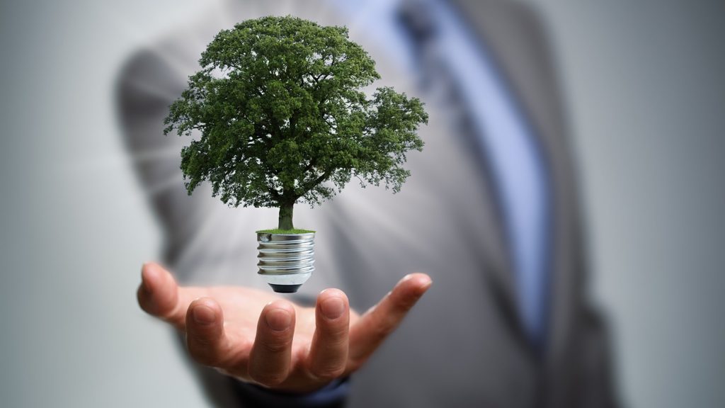 10 Tips to Make Your Business Sustainable and Profitable