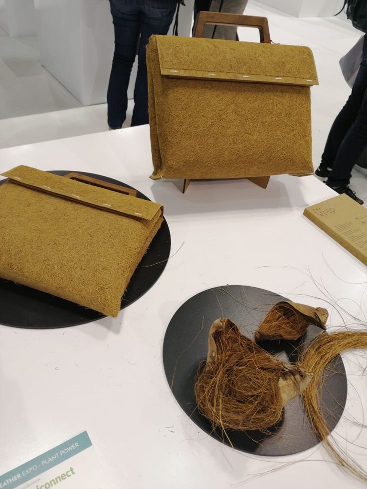 Eco-Friendly Biotextiles You Need to Know