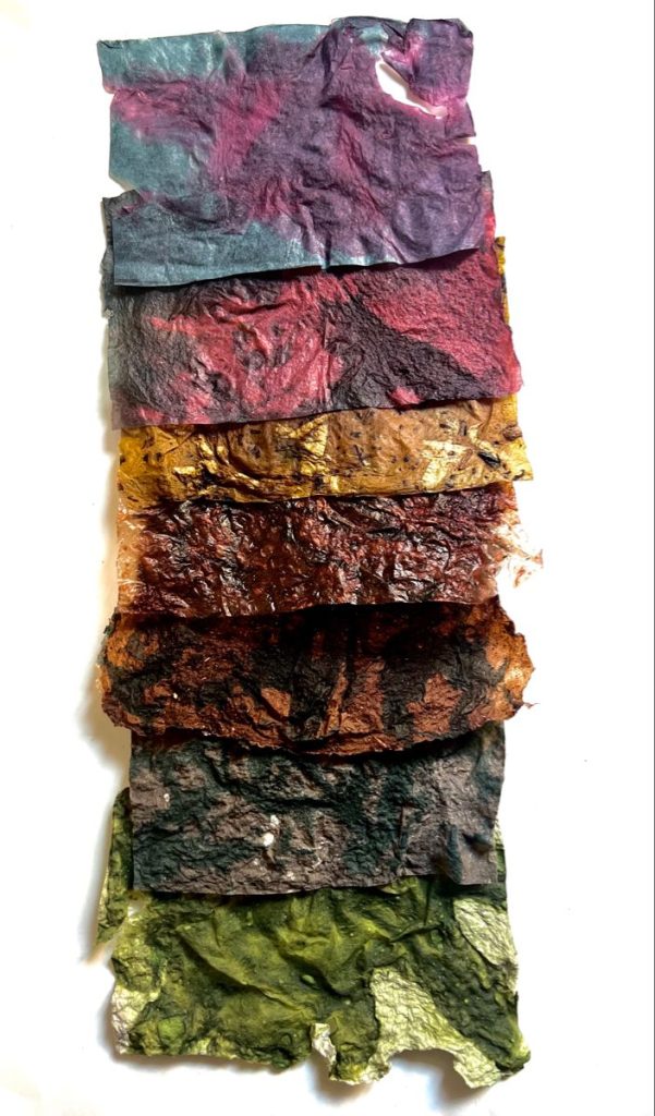 Eco-Friendly Biotextiles You Need to Know